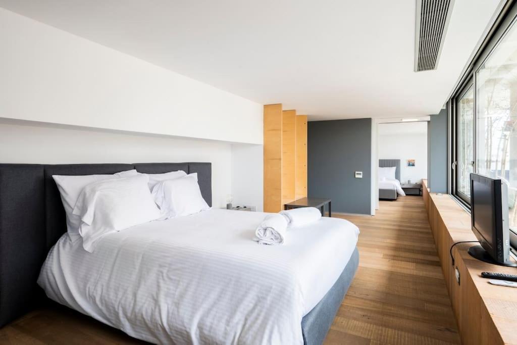 The Loft Penthouse In The Heart Of Center Apartment